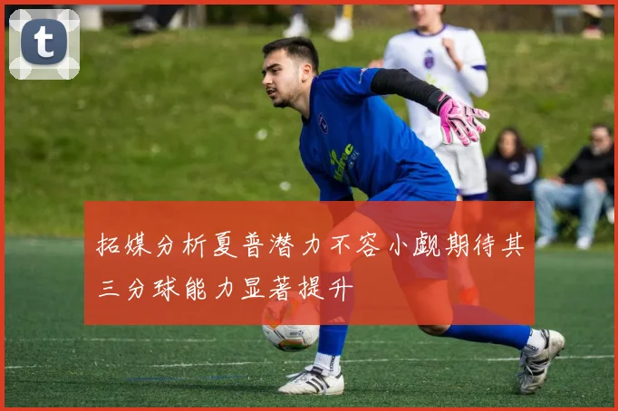 拓媒分析夏普潜力不容小觑期待其三分球能力显著提升